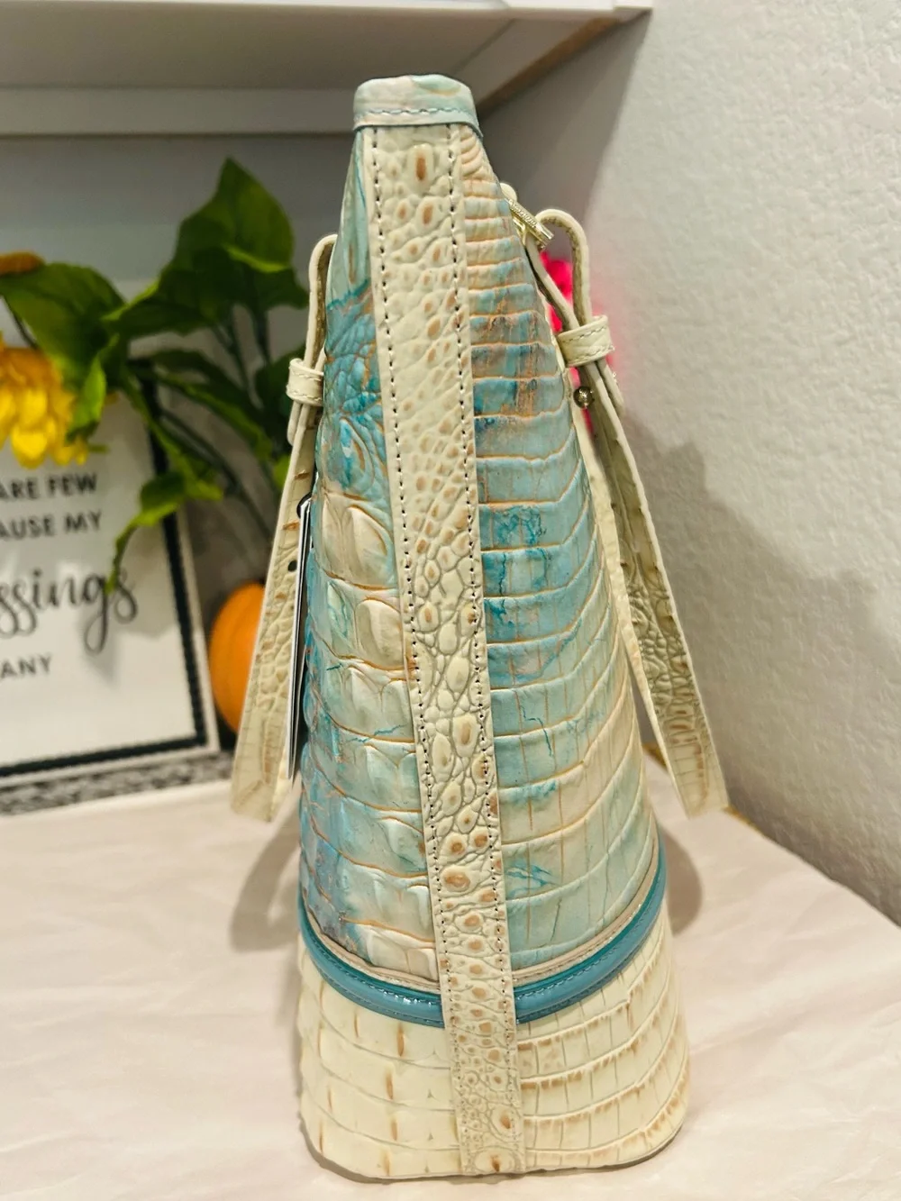 Brahmin Serendipity Schulz Asher Tote with Tassel